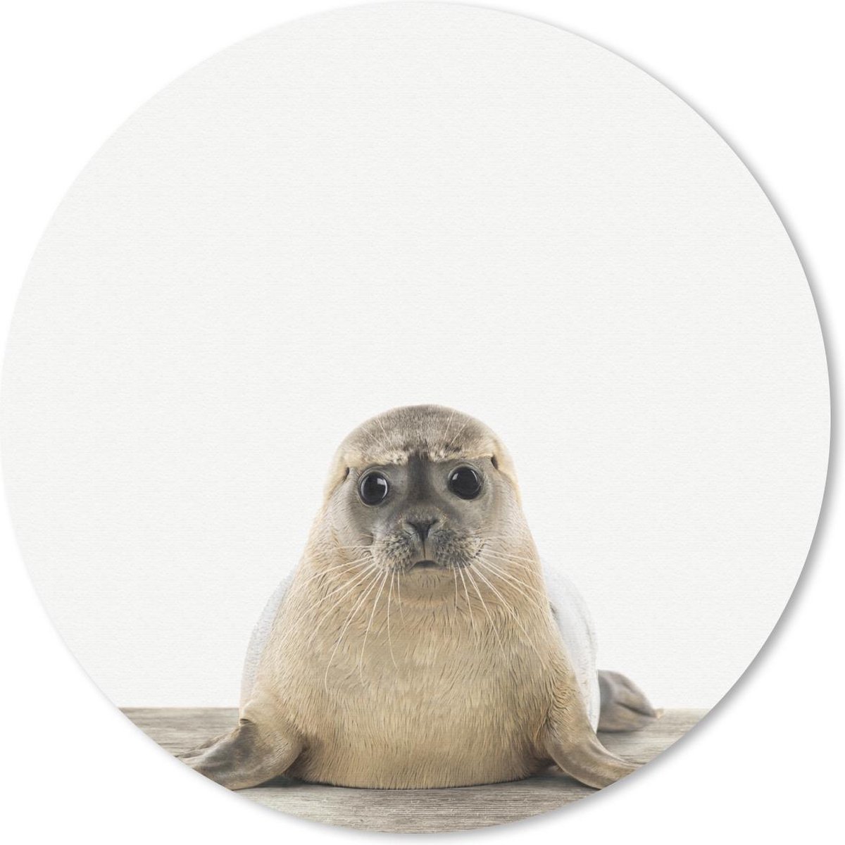 Muismat rond 40x40 cm - Mousepad Dieren - Zeehond - Wit - Ronde muismatten
