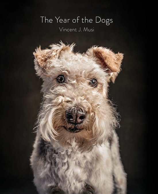 Een foxterriër met een ruige, lichtbruine vacht en donkere ogen kijkt naar de camera. Tekst: The Year of the Dogs, Vincent J. Musi.