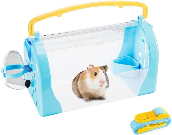 Wil je een hamster kopen? Of twijfel je over s Wil je een hamster kopen? Of twijfel je over s