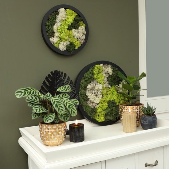 Comforder Moss painting - Mur de mousse de mousse de renne - Décoration murale sans entretien - Rond Ø27cm