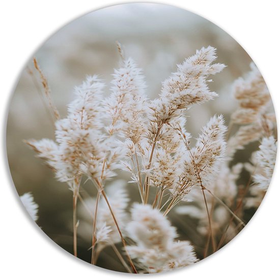 Bloemen muurdecoratie rond - Planten rond schilderij - Muurdecoratie rond Stengels - Wanddecoratie industrieel - Muurcirkels - Wanddecoratie slaapkamer muurcirkel aluminium 50x50 cm