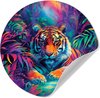 Tigre - Tropical