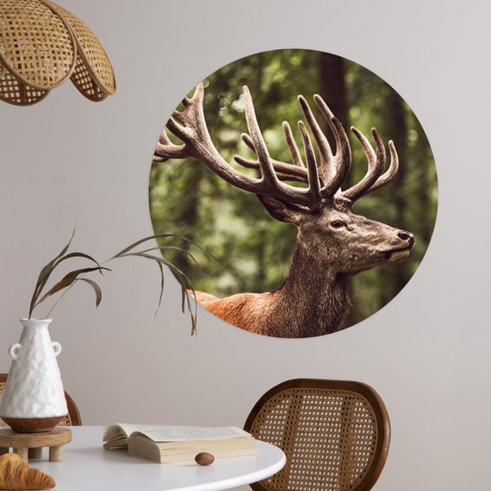 WallCircle® - Cercle de papier peint 80x80 cm - Stickers muraux Cerf - Nature - Bois - Forêt - Animaux - Cercle mural salon - Cercle mural chambre - Décoration murale autocollante - Accessoires de Décoration murale