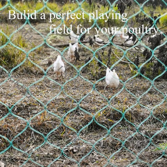 Kippenren 25 meter groen met dubbele pen - Animal Fences Kippenren 25 meter groen met dubbele pen - Animal Fences
