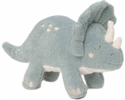 foto van Jollein - Knuffel Roarsome - Dino - 28cm - Sea Green