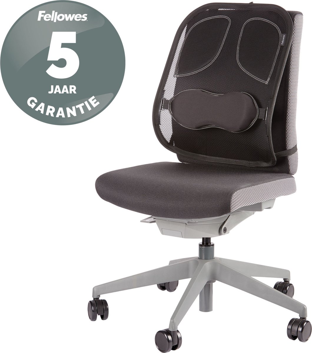 Goedkoopste Fellowes rugsteun van gaas - Professional series - verstelbaar - zwart