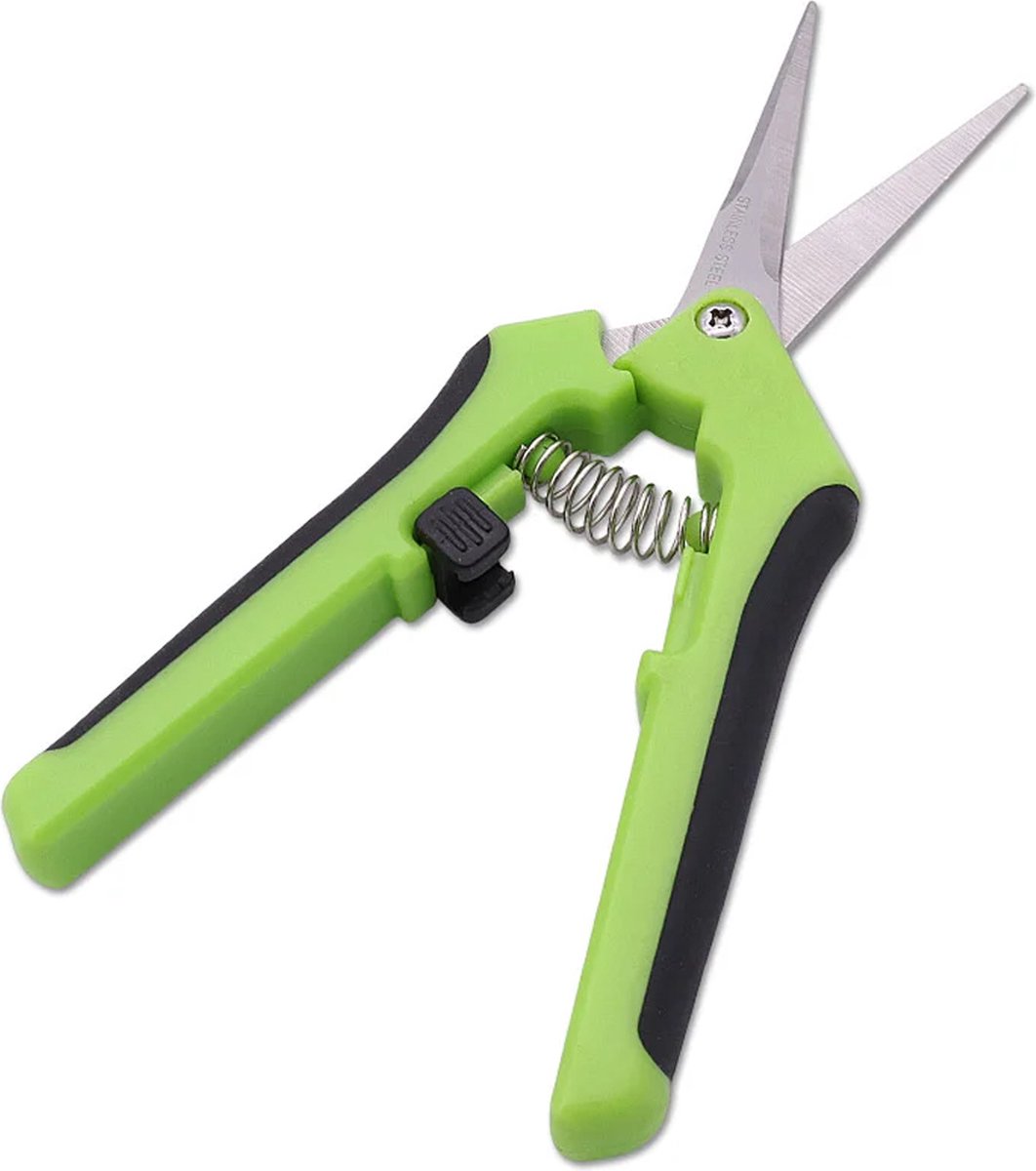DW4Trading RVS Snoeischaar Fruitschaar 16 cm Recht - Groen - Bloemen