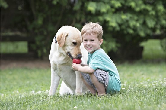 KONG Classic - Snackbal Honden Speelgoed - Rubber - 10.16cm - Rood - Maat L