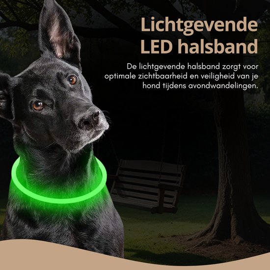 Collier pour chien LED lumineux - Siècle des Lumières de laisse pour chien rechargeable - Colliers d'éclairage pour chien lumineux - Taille unique - Rose