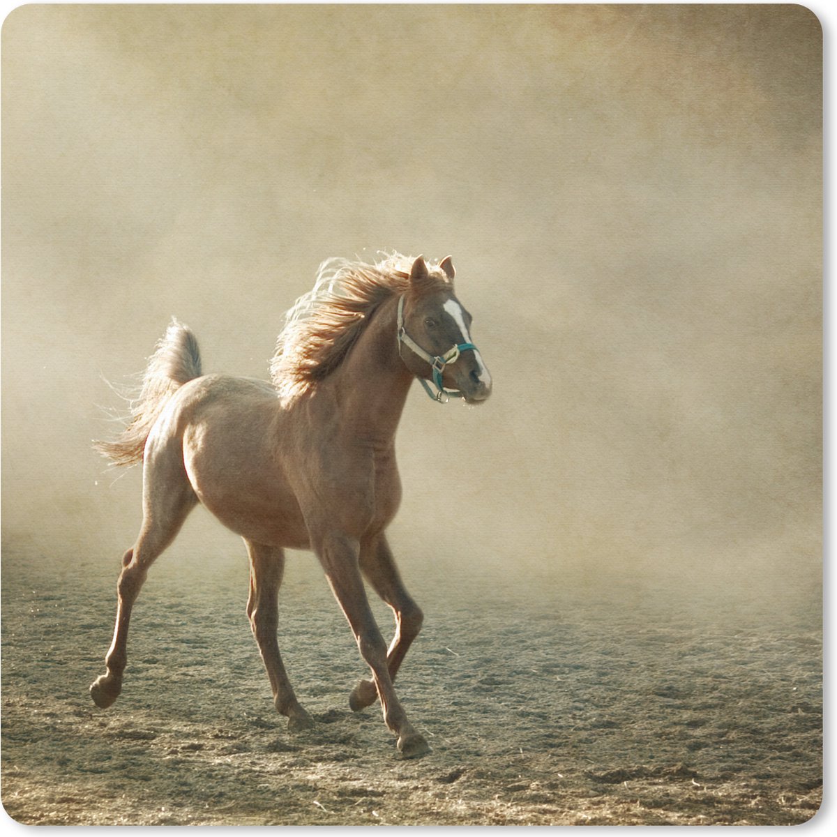 Muismat 30x30 cm - Mousepad Paard - Zand - Mist - Muismatten