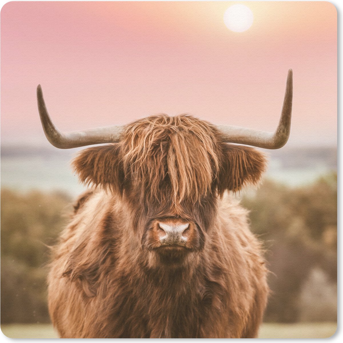 Muismat 30x30 cm - Mousepad Natuur - Schotse hooglander - Roze - Muismatten