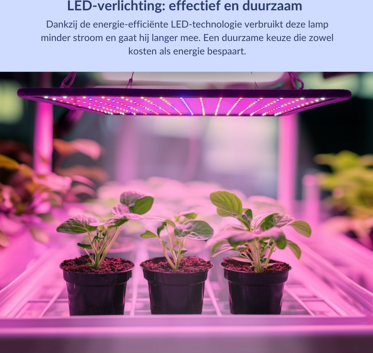 LED