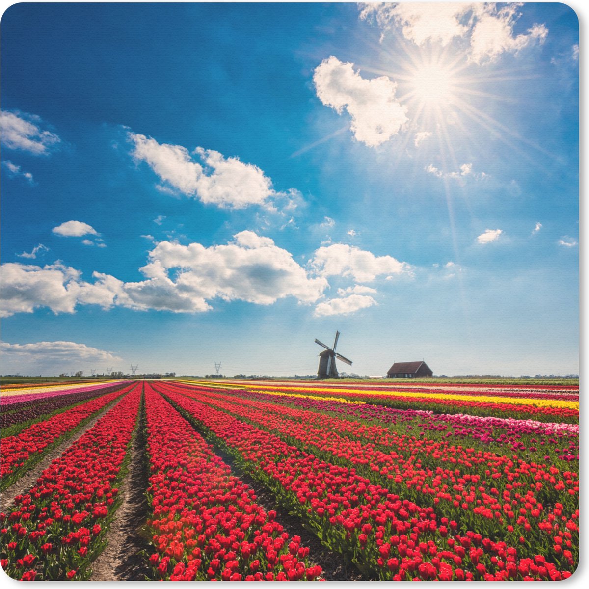 Muismat 20x20 cm - Mousepad Indrukwekkend tulpenveld in Nederland - Muismatten