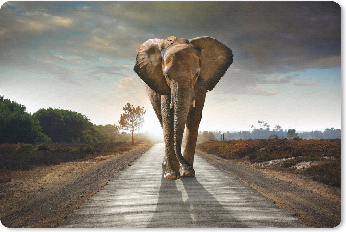 Muismat - Mousepad - Olifant - Weg - Dieren - Zonsondergang - Savanne - Landschap - 27x18 cm - Muismatten
