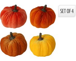 Pompoen velvet