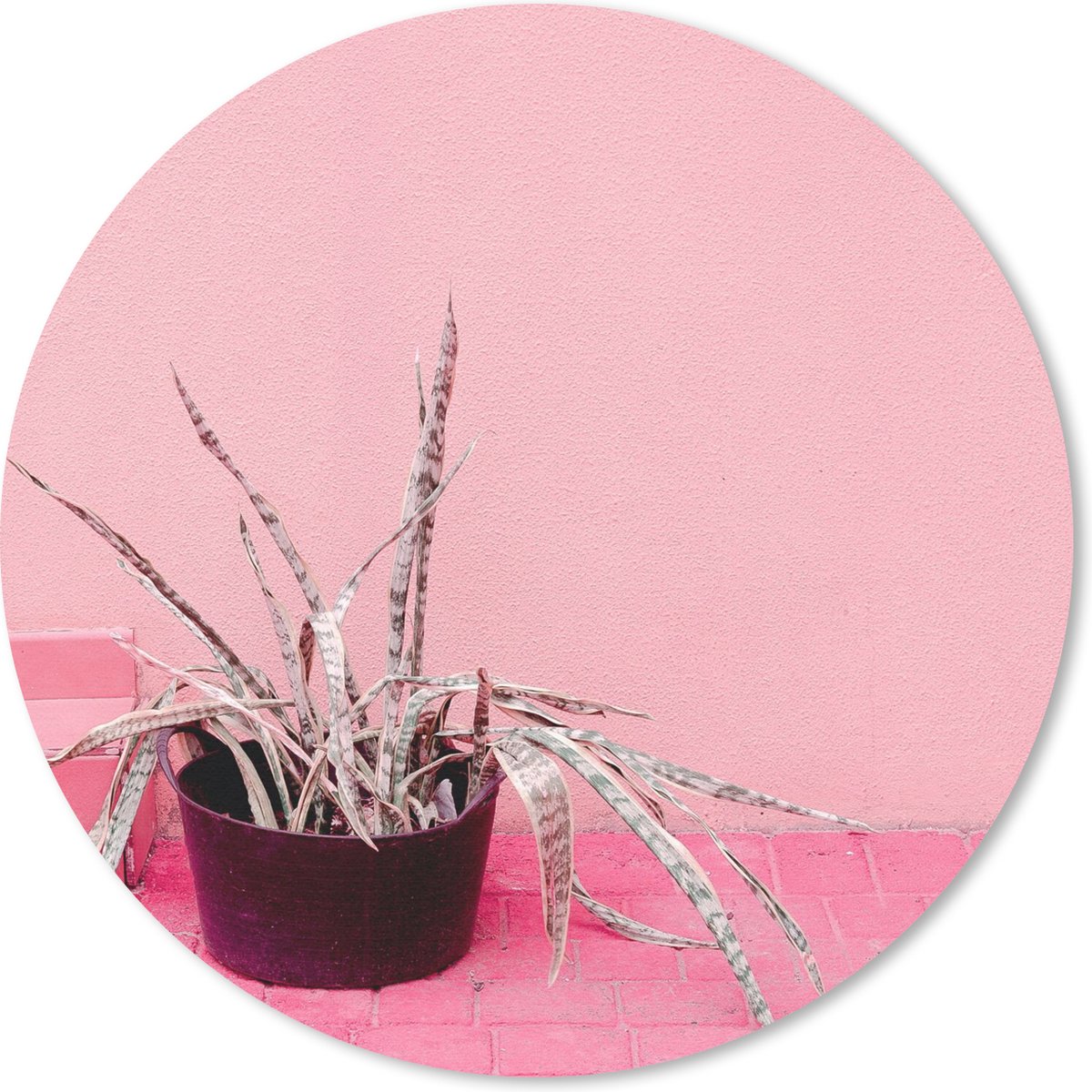 Muismat rond 30x30 cm - Mousepad Zomer - Roze - Planten - Ronde muismatten