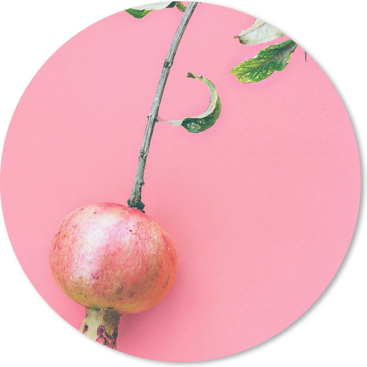 Muismat rond 40x40 cm - Mousepad Planten - Zomer - Roze - Ronde muismatten