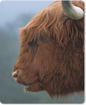 Muismat - Mousepad - Schotse Hooglander - Dieren - Mist - 19x23 cm - Muismatten