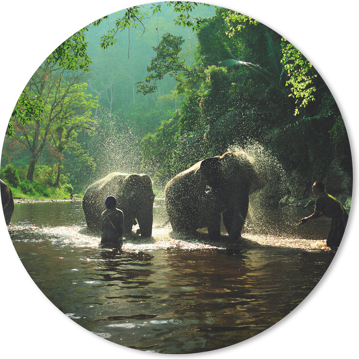 Muismat rond 50x50 cm - Mousepad Olifant - Water - Bomen - Groen - Dieren - Ronde muismatten