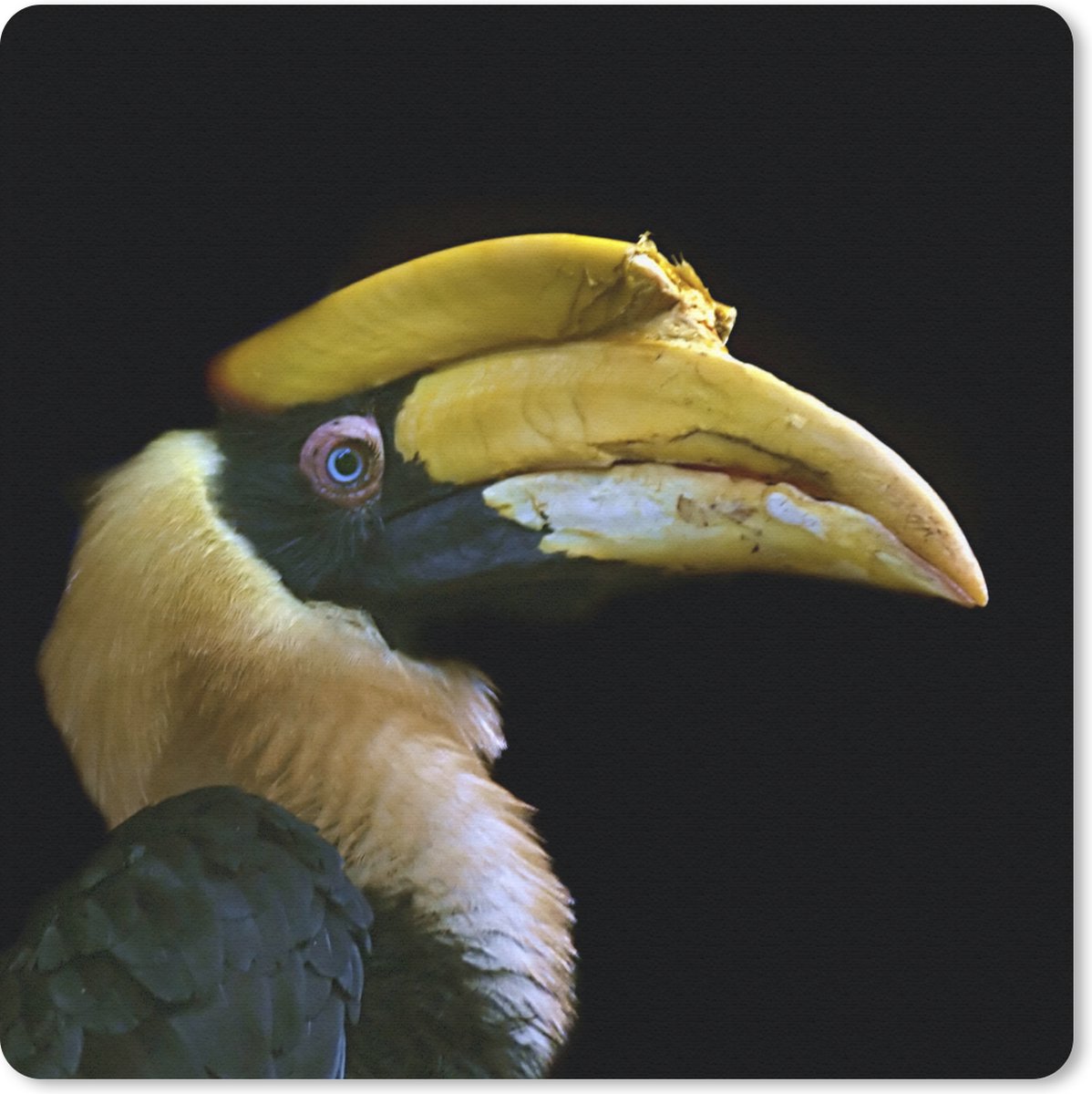Muismat 30x30 cm - Mousepad Vogel - Snavel - Zwart - Muismatten