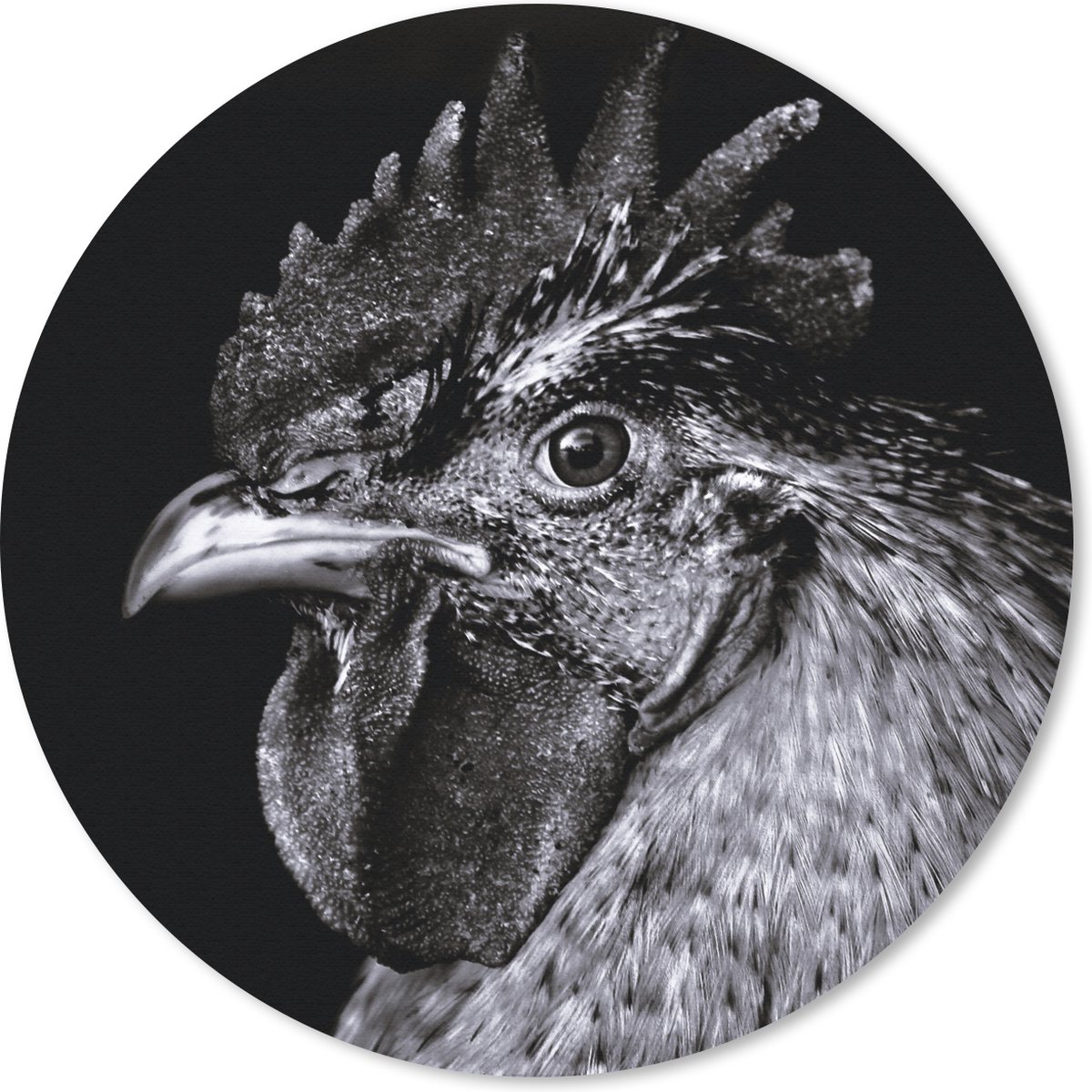 Muismat rond 20x20 cm - Mousepad Haan - Vogel - Zwart - Wit - Ronde muismatten
