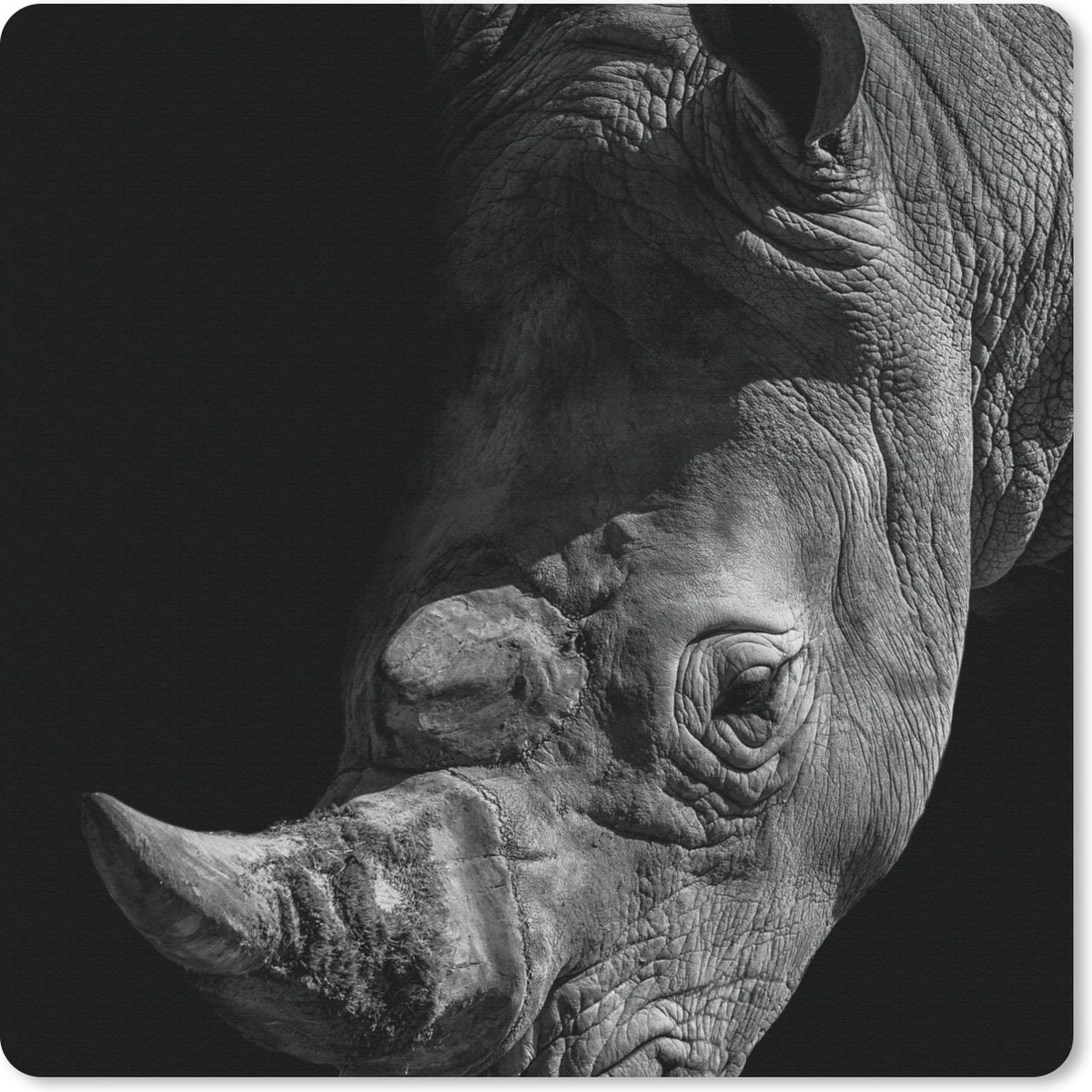 Muismat 20x20 cm - Mousepad Close-up neushoorn op zwarte achtergrond in zwart-wit - Muismatten