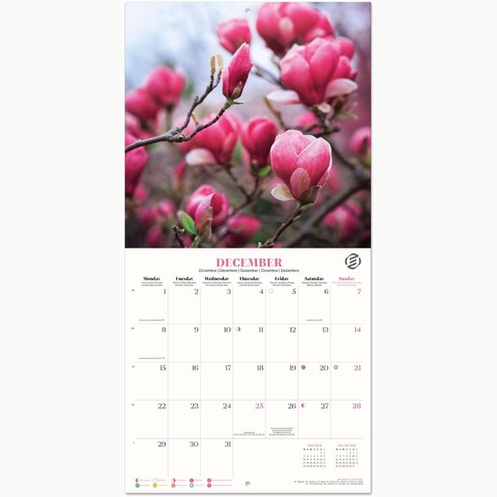 Foto: Equivera jaarkalender 2025 maandkalender jaar kalender jaarkalender jaarplanner kalender 2025