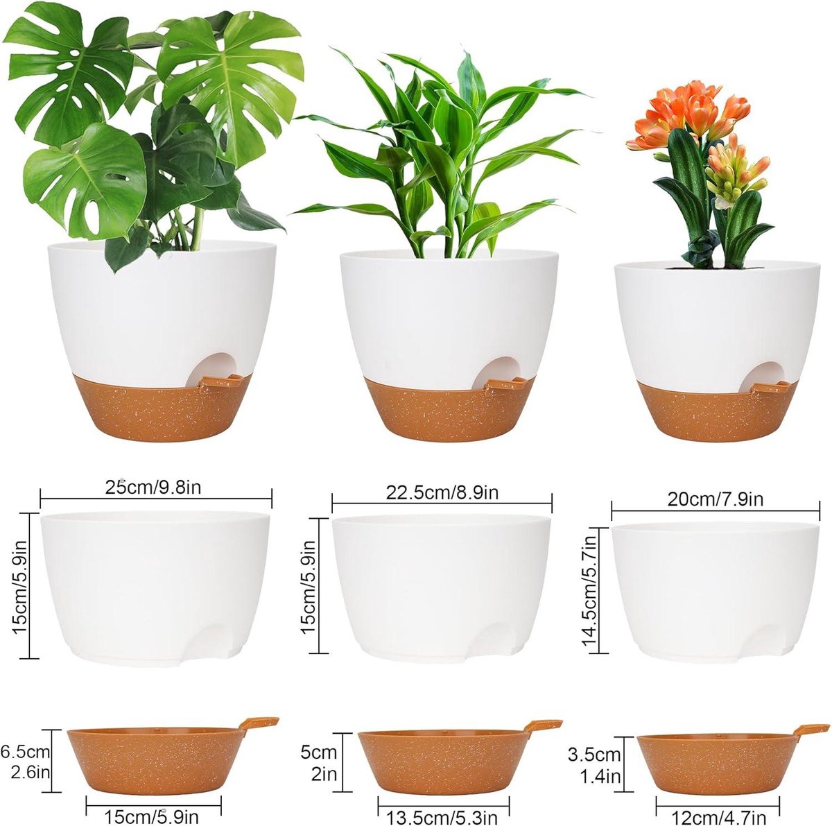 Pot De Fleurs Auto-irrigant - Système De Réserve D'eau Intérieure, Pour Plantes D'intérieur, Bonsaï - 9