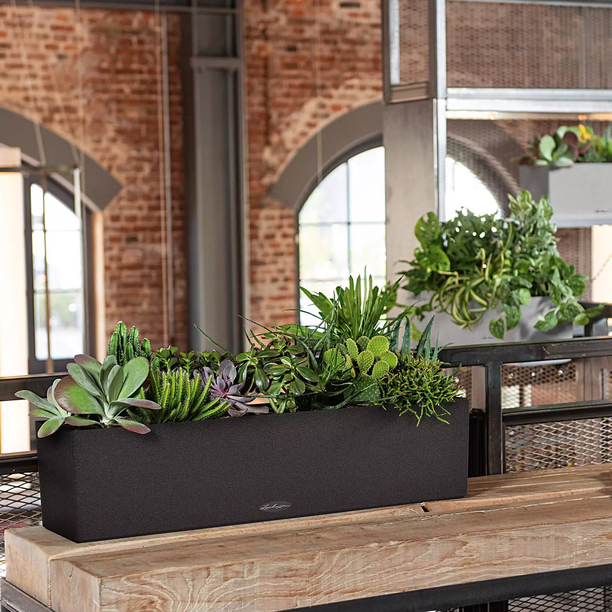 Lechuza Balconera Stone 80 - Planter - with removable inner pot