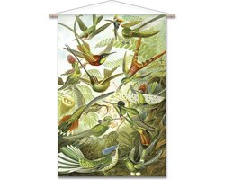 Wanddoek Ernst Haeckel - Kolibries (zonder houten stokken)