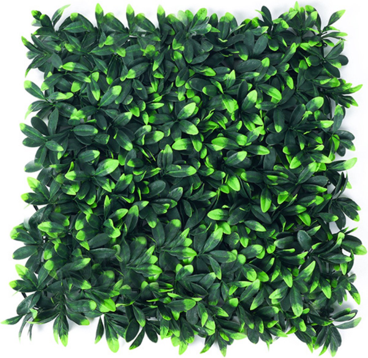 Buxibo Kunsthaag Set - 4 x 50x50 cm - Groene Wand - Kunstklimop - Namaak Plant - Balkonsch