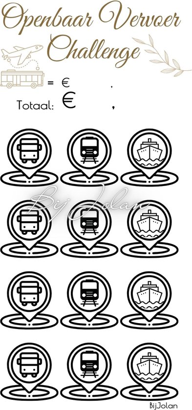 002 Cash Stuffing Challenge Kaarten - 10 stuks - Gelamineerd - BijJolan - Budgetplanner - Spaar Challenge kaarten