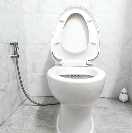 Bidetset met handdouche volledig rvs warm/koud - Voordelig Design Sanitair
