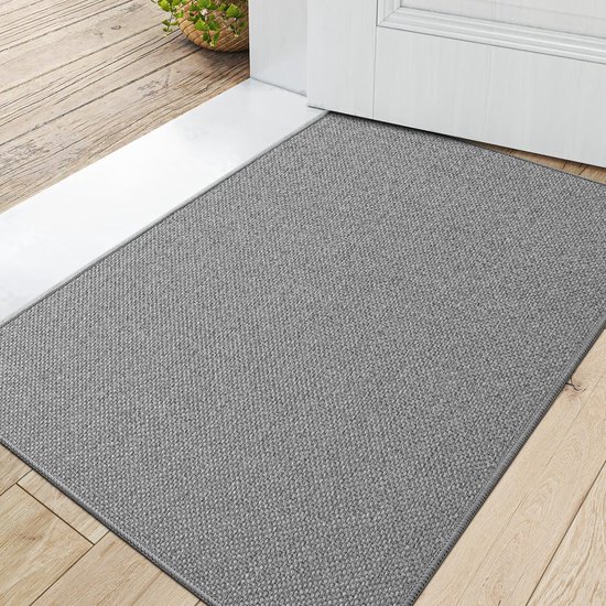 LEKEEPGO Tapis Entree Interieur 60 x 90 cm, Paillasson Interieur Entree Antidérapant, Tapis intérieur Entree Absorbant Lavable, Tapis d'Entrée Fin Tapis de Porte pour Entrée, Couloir, Cuisine, Gris