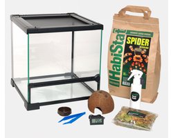 Habistat Spinnen Start Set - Spinnen Terrariumset