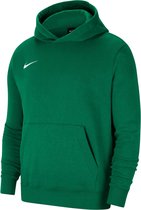 Nike - Park 20 Fleece Hoodie Junior - Groene Trui-140 - 152