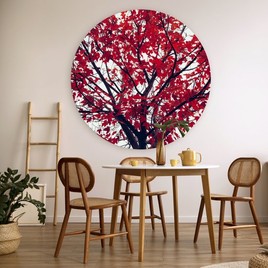 WallCircle - Wall Circle - Wall Circle Indoor - Esdoorn - Feuilles - Automne - Nature - 120x120 cm - Décoration murale - Peintures Ronds XXL