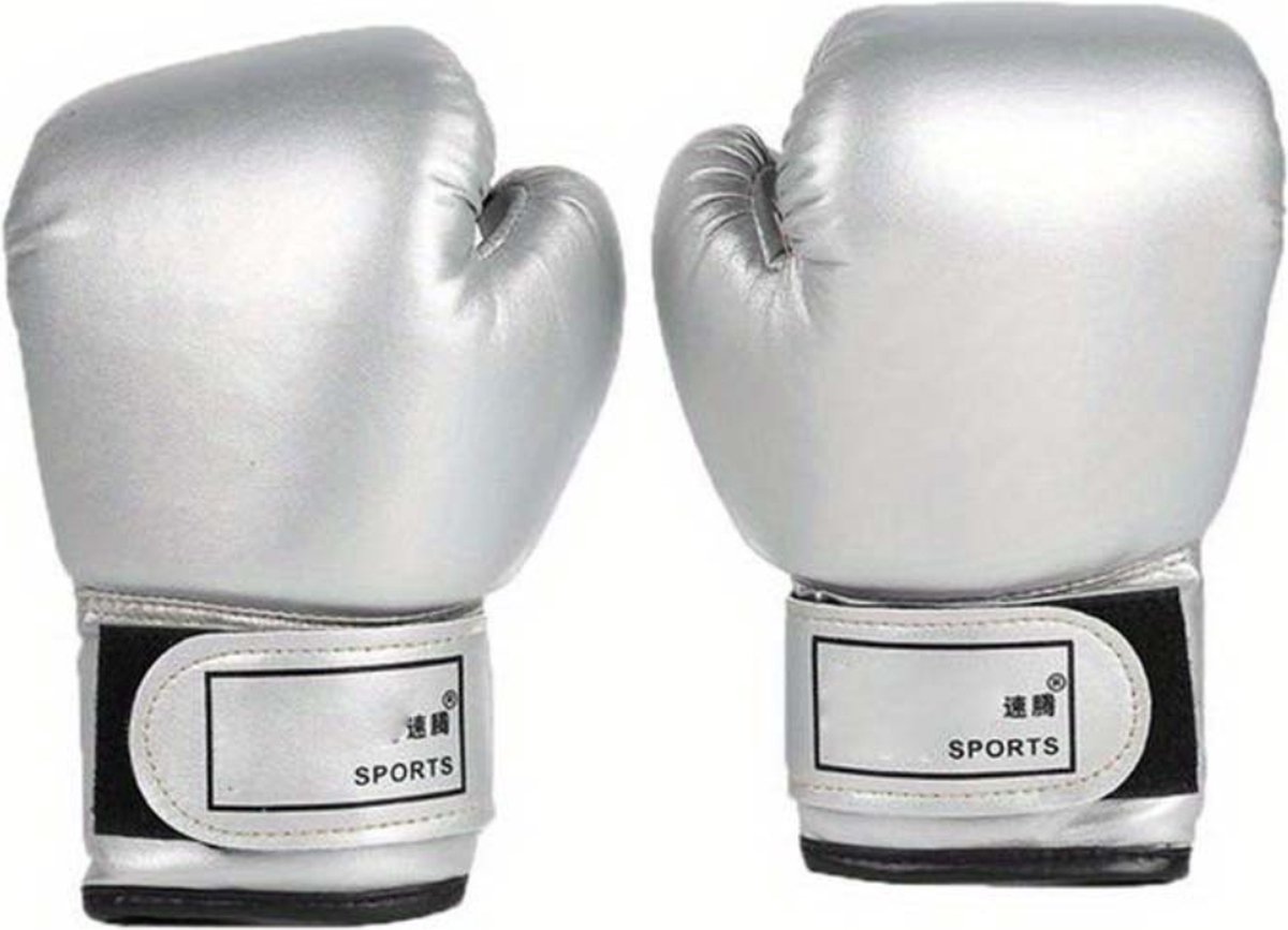 Bovista Vecht Handschoenen - Kickboks Handschoenen - Boxing Gloves Set - Bokshandschoenen - Heren - Dames - Zilver