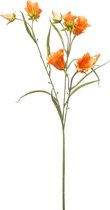 Emerald - Fleur artificielle Cloche 65cm orange - Plantes artificielles pour l'intérieur