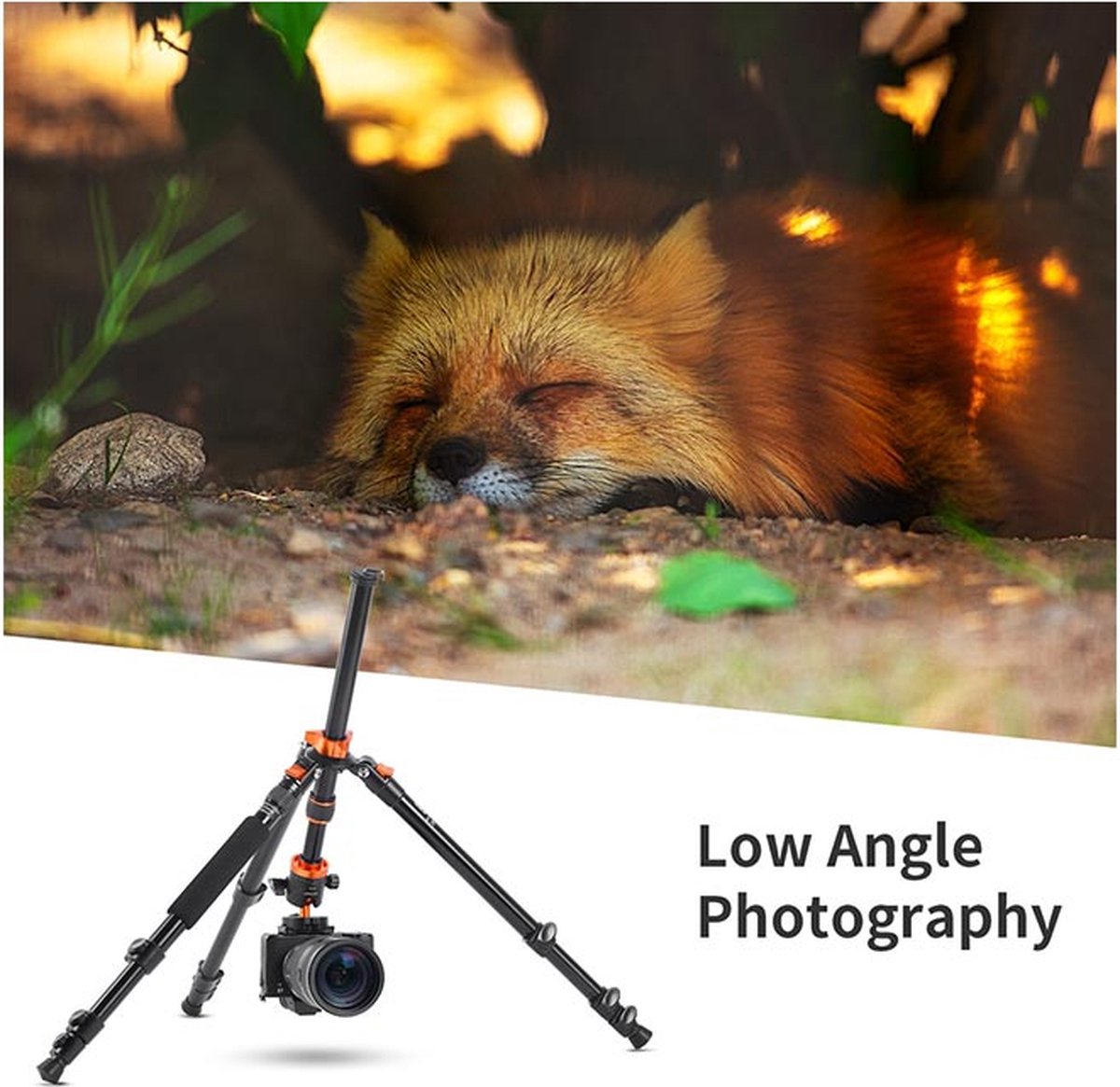 K&F Concept Reisstatief: Compact, Lichtgewicht & 2-in-1 Monopod - Afbeelding 7