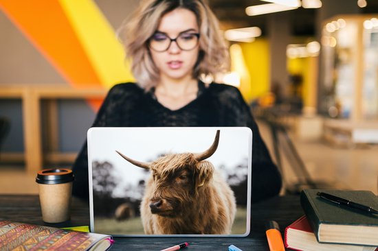 Autocollant pour ordinateur portable - 10,1 pouces - Highlander écossais - Animaux - Cornes - 25x18cm - Autocollants pour ordinateur portable - Peau pour ordinateur portable - Couverture