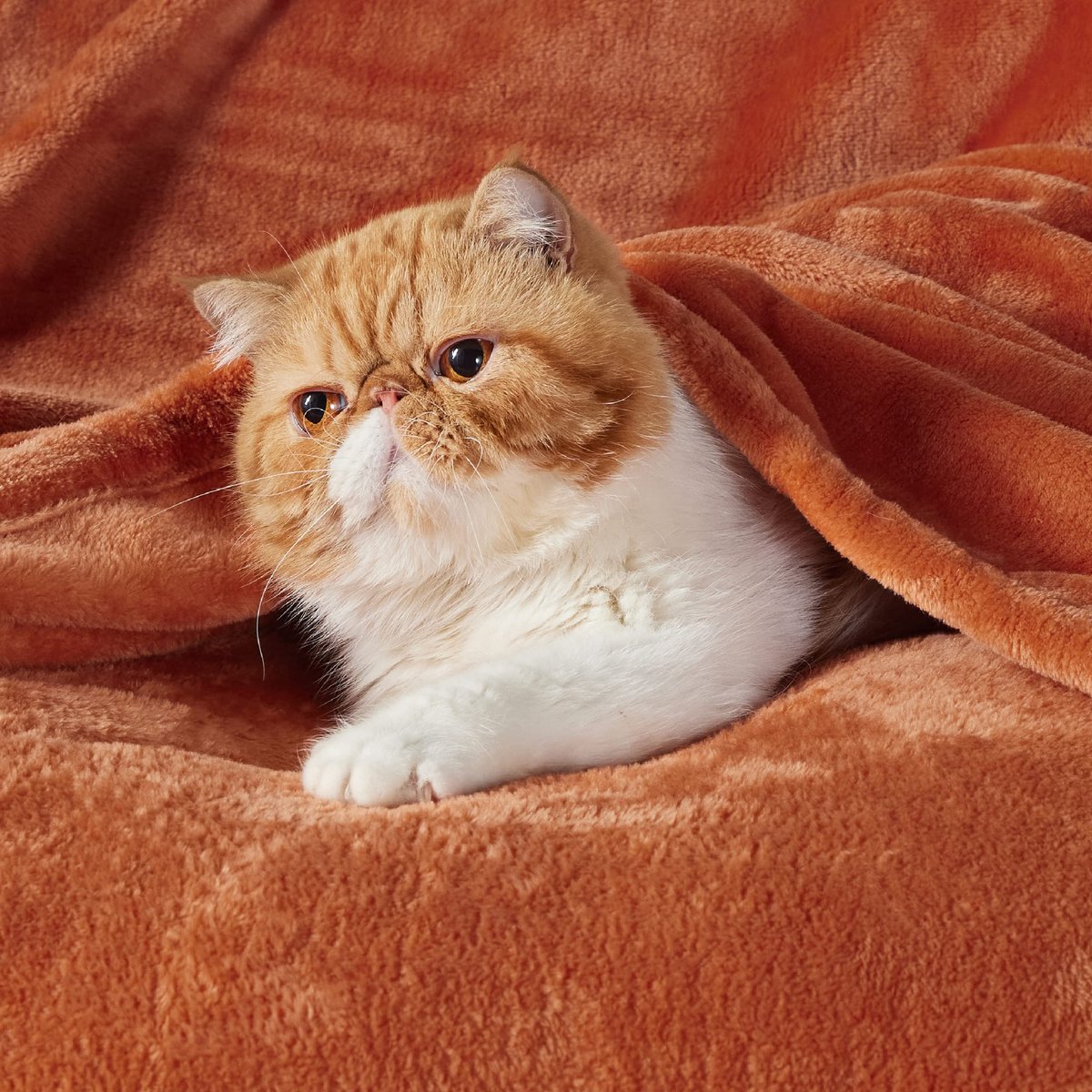 Unyqoos Ultrazachte Pluizige Flanellen Fleece Deken voor Optimaal Comfort en Warmte oranje