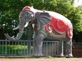 Pièce Uniek : Éléphant XXL - 340 x 400 cm - Image unique