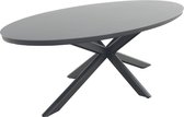 Ventaro ovale tuintafel 240x115 cm. - Donker grijs