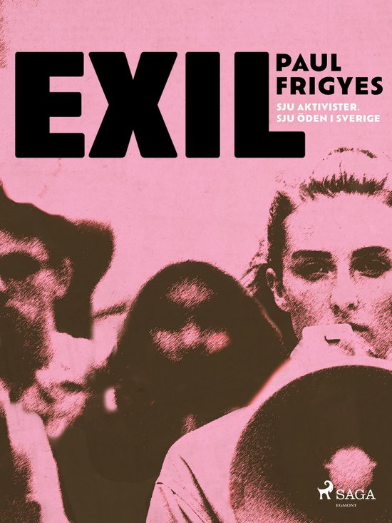 EXIL : sju aktivister. Sju öden i Sverige - cover