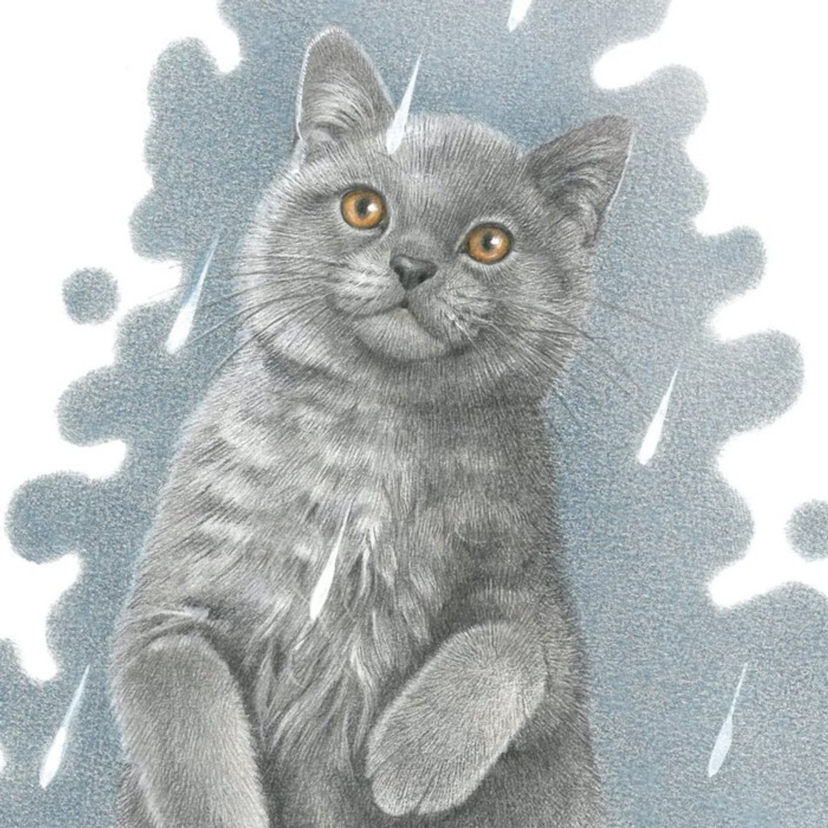 Katdootje - Kaart - It is raining cats