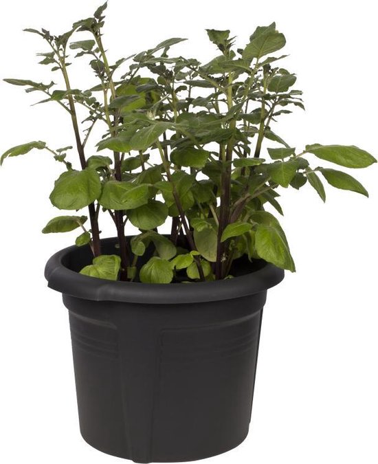 Elho Green Basics Aardappel Pot 33 - Bloempot - Living Black - Buiten - Ø 32.3 x H 25.7 cm