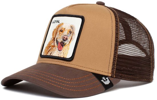 Goorin Bros Pet Bruin Goorin Bros The Loyal Dog Petten Bruin 101-0505  bol