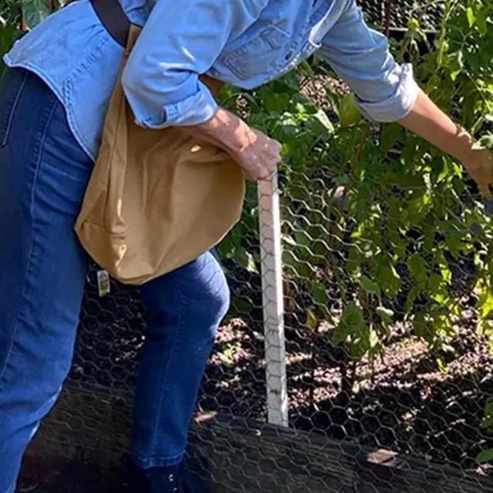 Wanneer kan ik mijn fruit van de boom plukken? | Oude Fruitbomen