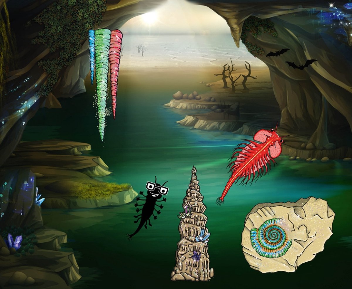 KOSMOS Saltwater Creatures - Experimenteerset - Kweek Je Eigen Pekelkreeftjes - Complete Kweekset met Aquarium, Vergrootglas en Decoratie - Ontdek Levend Waterleven - STEM Speelgoed - Vanaf 8 Jaa — afbeelding 8